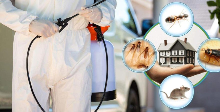 Erdek Böcek İlaçlama