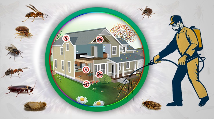 Erdek Böcek İlaçlama