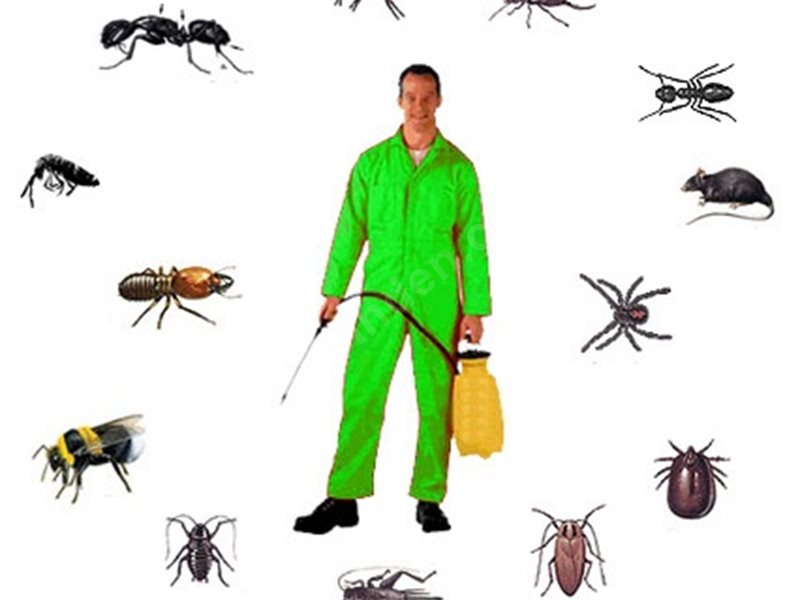 Erdek Böcek İlaçlama